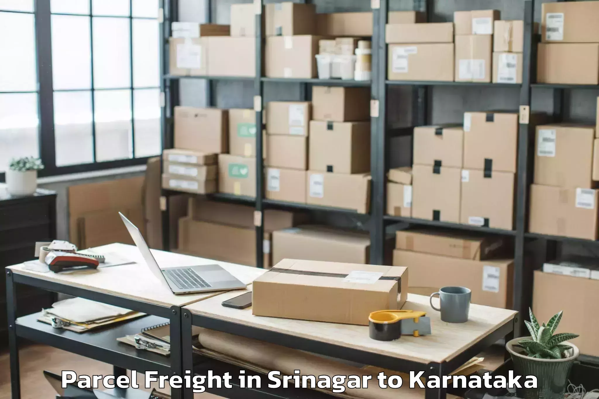 Book Srinagar to Bangalore Parcel Freight Online